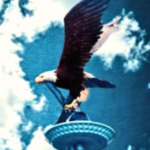 XXL Bald Eagle Finial and Magnum Solar Flagpole Light Kit