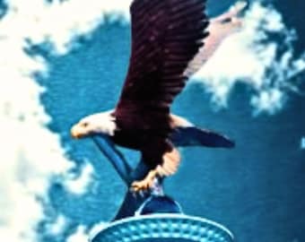 XXL Bald Eagle Finial and Magnum Solar Flagpole Light Kit