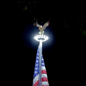 Flying Bald Eagle and Solar Flagpole Light Kit