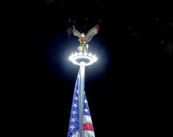 Flying Bald Eagle and Solar Flagpole Light Kit