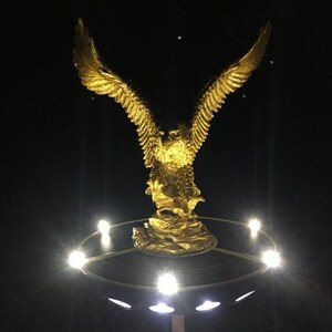 Gold Bald Eagle and Solar Flagpole Light Kit