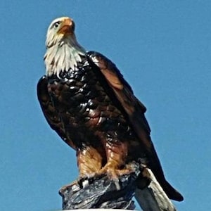 Bald Eagle Flag Pole Topper