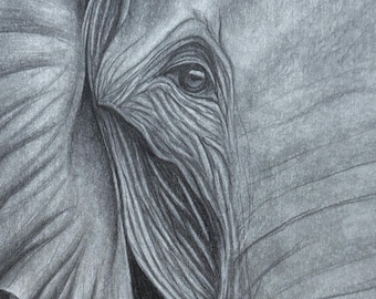 Fine Art Print "Elephant" A4 - realistic animal illustration - art print on high-quality paper - elephant wall art safari decor