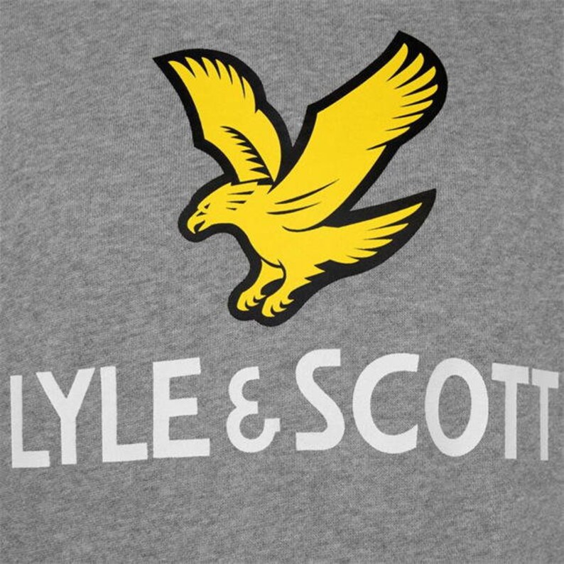 Pu&ograve; includere: Felpa grigia con logo aquila gialla e scritta bianca "LYLE & SCOTT". L'aquila &egrave; in volo con le ali spiegate. La felpa &egrave; di colore grigio tinta unita, con il logo in alto.