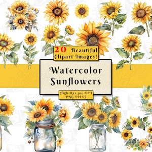Clipart de girassóis em aquarela | Clipart de girassol | Clipart Digital Png | Buquês de aquarela | Clipart de vegetação | Arranjos De Flores Png