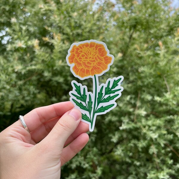 Marigold Flower Sticker