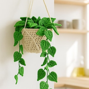 May include: A handmade crochet hanging planter with vibrant green leaves and a beige woven basket. The plant is suspended from a wooden wall hook with cream-colored cords, adding a touch of nature to interior decor.