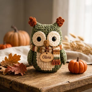 Può includere: Una statuetta di gufo all'uncinetto color verde oliva con macchie oculari e pancia color crema. Il gufo indossa una sciarpa a righe arancione, marrone e crema e presenta un'etichetta ovale in legno appesa al collo con il nome Olivia inciso.