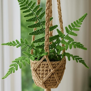 Peut inclure: Un porte-plante en macramé beige suspendu par trois cordons tressés contient une fougère verte. Le porte-plante présente un motif de panier tissé. Une gland pend du bas. Idéal pour une petite plante.