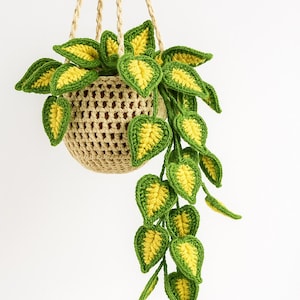 May include: A crocheted hanging plant with green and yellow leaves. The plant is in a beige crocheted basket, suspended by beige rope. The leaves have a heart shape and are a vibrant green with yellow centers.