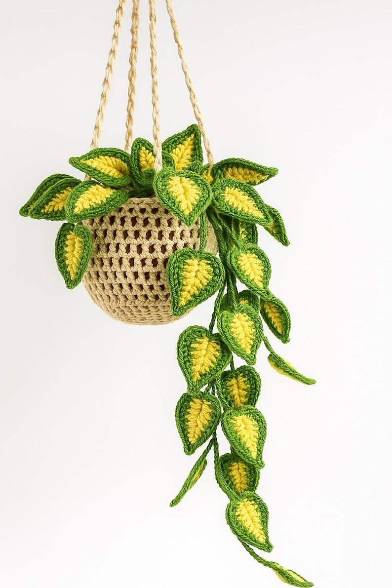 May include: A crocheted hanging plant with green and yellow leaves. The plant is in a beige crocheted basket, suspended by beige rope. The leaves have a heart shape and are a vibrant green with yellow centers.