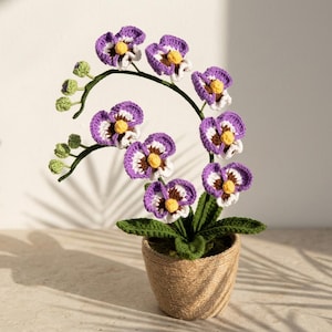 Può includere: Una pianta di orchidea all'uncinetto fatta a mano in un vaso intrecciato. I fiori viola e bianchi, con centri gialli, sono disposti su uno stelo verde. Il vaso è avvolto in spago color naturale, creando un affascinante pezzo decorativo.