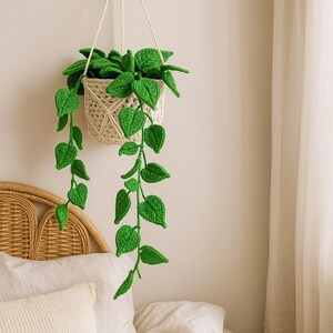 May include: A handmade crochet hanging plant with vibrant green leaves and a beige woven basket. The plant is suspended from a wooden hook on a light-colored wall, adding a touch of nature to the room. The leaves cascade downwards, creating a decorative accent.