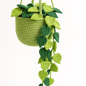 May include: A handmade crochet hanging planter with a trailing plant. The planter is a solid light green, with a woven texture. The plant has various shades of green leaves, creating a natural, textured look. The hanging cords are also light green.