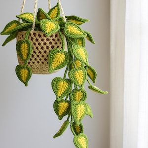 May include: A handmade crochet hanging plant with a beige basket and cream-colored hanging cords. The plant features green and yellow heart-shaped leaves, creating a vibrant and decorative piece. The leaves cascade downwards, adding a touch of nature to any space.