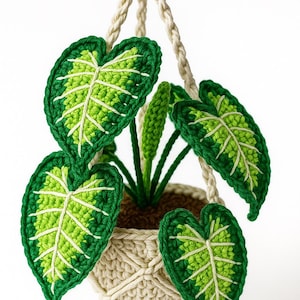 以下が含まれることがあります： ベージュのマクラメハンギングプランターに飾られた、緑と淡い緑の大きな葉を持つ手作りのかぎ針編み植物。植物はベージュのロープが付いた木のダボから吊り下げられています。葉には白い葉脈のディテールがあります。