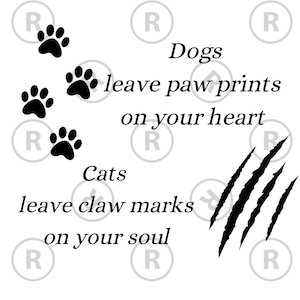 Bundle of dog and cat Svg dog quote Svg cat quote Svg bundle animal quote Svg file for Cricut printable download dog vs cat Svg dog and cat