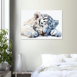 May include: A canvas print of a sleeping white tiger cub. The cub is lying down with its eyes closed, paws crossed, and a pink nose. The tiger has black stripes and is set against a white background.