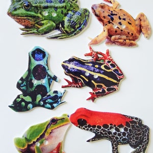 May include: Six different frog buttons with colourful patterns and designs. The frogs are green, blue, yellow, black, red and orange.
