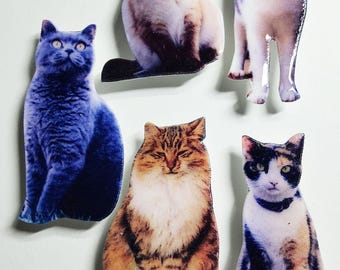 May include: Five different cat images printed on a white background. The cats are all different breeds and colors. The images are all in a similar style, with a white border around them.