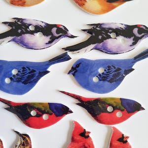 Puede incluir: Una colección de botones decorativos con forma de pájaro en varios colores. Los botones presentan diseños detallados de diferentes especies de aves, incluyendo cardenales rojos, azulejos y aves con plumaje naranja y marrón. Cada botón tiene dos agujeros para coser.