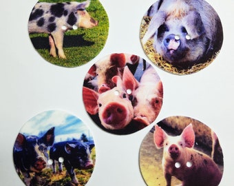 Pigs in the yard buttons 1.5" set of 5