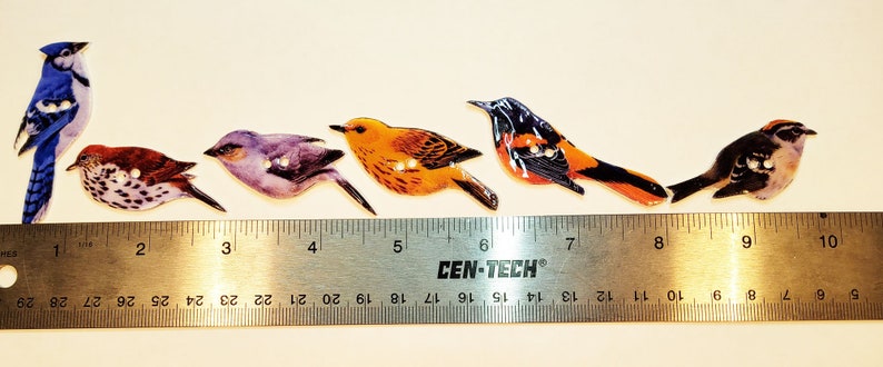 Bird Button #1 - Set of 6 - Etsy