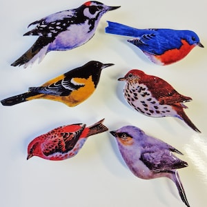 Puede incluir: Seis ilustraciones de pájaros coloridos, cada uno con marcas y colores únicos. Los pájaros se representan en una variedad de poses, incluyendo volando, posados y cantando. Las ilustraciones están impresas sobre un fondo blanco.