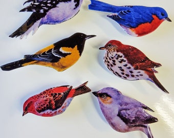 Bird Magnets #3 - set of 6