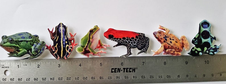 Frog #1 Magnets - Set of 6 - Etsy