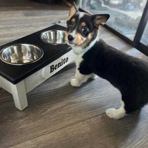 Support de gamelle pour chien surélevé avec alimentation lente, mangeoire pour chien sur mesure image 18