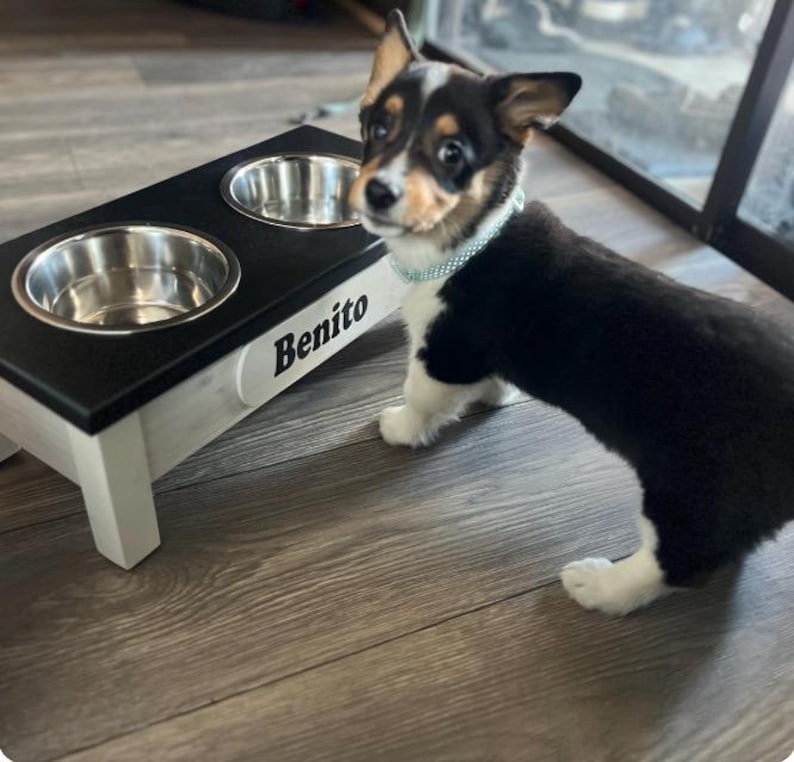 Support de gamelle pour chien surélevé avec alimentation lente, mangeoire pour chien sur mesure image 18