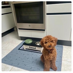 Support de gamelle pour chien surélevé avec alimentation lente, mangeoire pour chien sur mesure image 14
