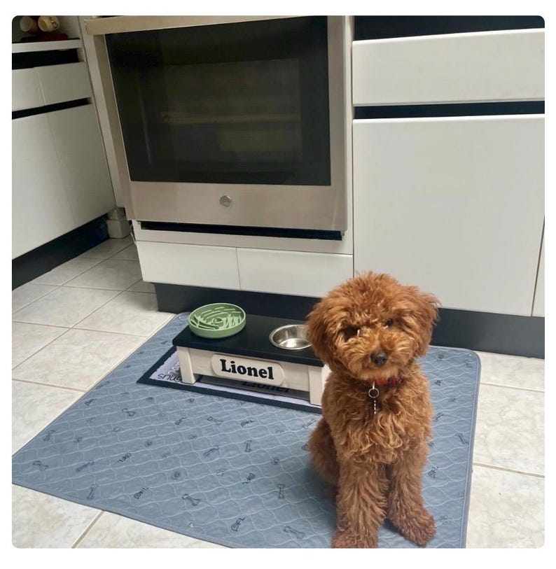 Support de gamelle pour chien surélevé avec alimentation lente, mangeoire pour chien sur mesure image 14