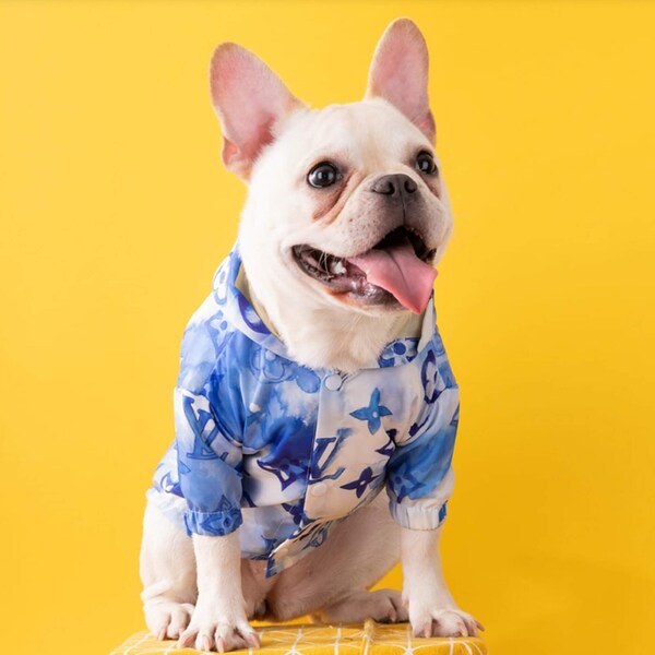 Designer Dog Clothes Etsy