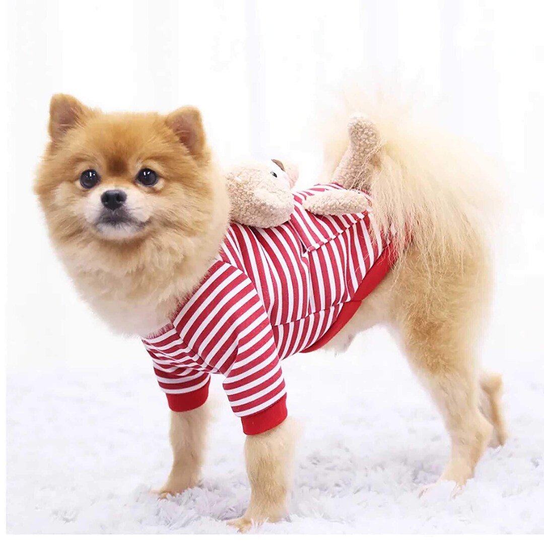 ADORABLE DOG SWEATER Funny Dog Sweater Designer Dog Clothes Etsy