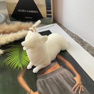Candle lovely dog Corgi- Pets - Sculpture Candle - Gift - Home Decor - Soy Wax - Handmade - Home Design - Eco friendly