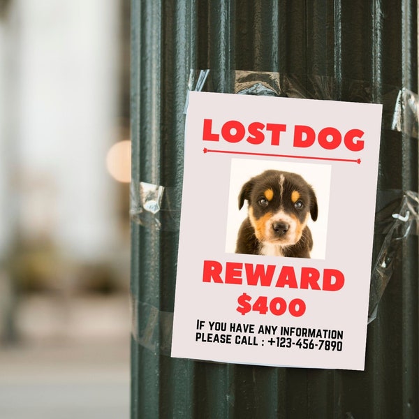 Three Editable Flyers | Missing Cat Sign | Lost Pet Poster | Ten Editable & Printable Templates | Lost Dog, Lost Dog Alert | Lost Dog Search