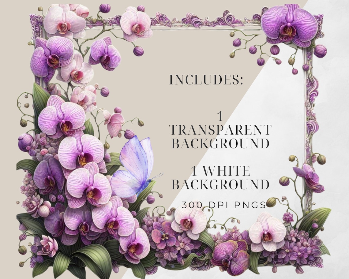 Commercial Use PNG Watercolour Orchid Clipart Frame Border, Orchid ...
