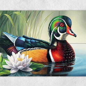 ceramic tile mural art print backsplash medallion kitchen, outdoor. Colorful wood duck white lily flower pad in pond wildlife