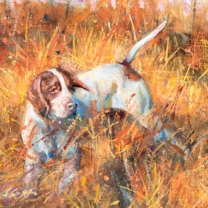May include: A white and brown dog with a long tail stands in a field of tall, dry grass. The dog's head is turned to the side, and its eyes are closed. The grass is a mix of yellow, orange, and brown.