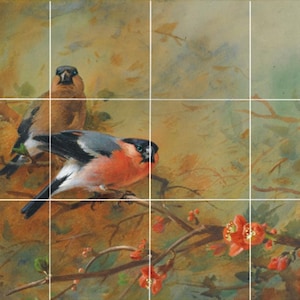 ceramic tile mural backsplash medallion kitchen, outdoor. Bullfinches Pyrus Japonica birds cherry blossom.