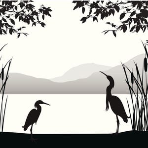 May include: Silhouette of two birds standing in a lake with reeds and cattails in the foreground. The birds are facing away from each other. The background is a silhouette of a mountain range.