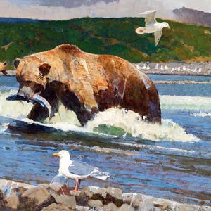 May include: A brown bear catches a salmon in a river. The bear is standing in the water with its mouth open, and the salmon is in its mouth. There are other bears and seagulls in the background.