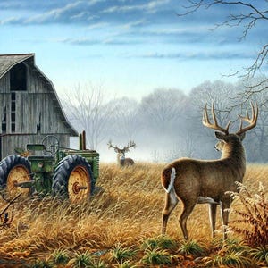 May include: A painting of a rural scene with a weathered barn, a green tractor, and two white-tailed deer in a field of tall grass. The sky is a light blue with wispy clouds.