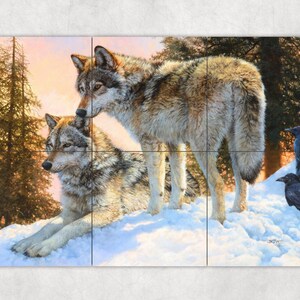 May include: Two grey wolves in a snowy forest setting. The wolves are standing close together, with one wolf looking at the viewer and the other looking at the first wolf. There are two black crows in the background.