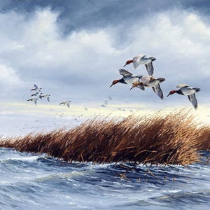 May include: A painting of a flock of ducks flying over a body of water with tall brown grasses in the foreground. The sky is a light blue with white clouds.