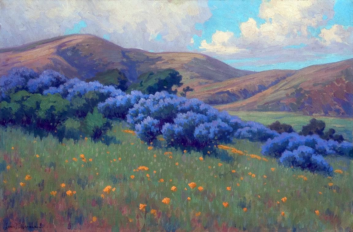 Framed canvas art print giclee or poster. gamble. Poppies and Lupin Near Santa Barbara, nature. meadow, garden . country old western.