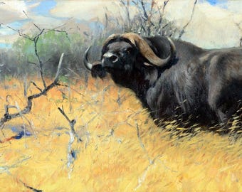 Framed canvas art print giclee or poster. Kuhnert. Cape Buffalo, wildlife. country old western. impressive quality