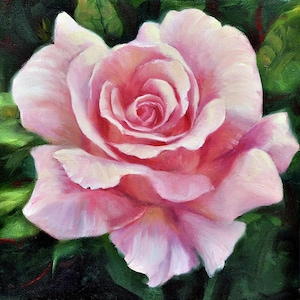 ceramic tile mural art accent backsplash decorative medallion. dainty and pink. single pink rose garden. Square